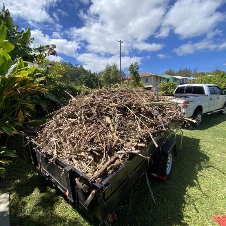 Green Waste Disposal